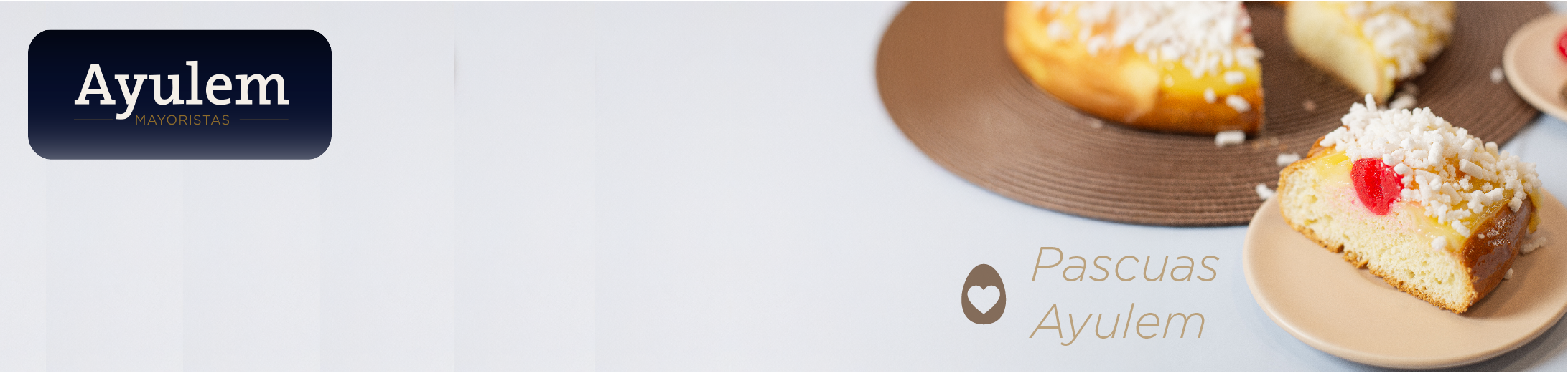banner mayorista-01