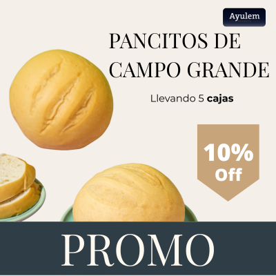 Promo 5 Cajas pancitos de campo grandes