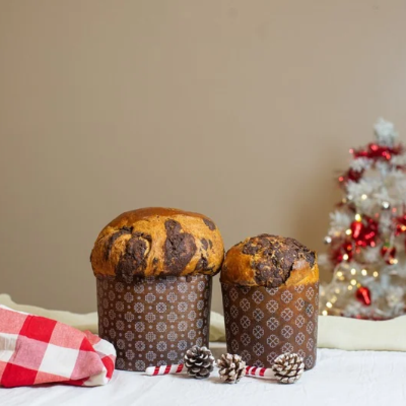 Panettone  de chocolate 1/2 kilo (pack de 6 unidades)