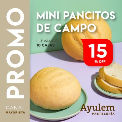 Promo 10 cajas mini pancitos de campo