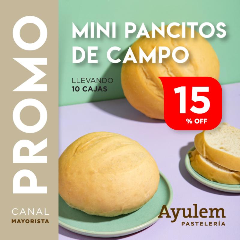 Promo 10 cajas mini pancitos de campo