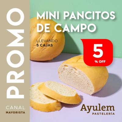 Promo 5 Cajas Mini Pancitos de Campo