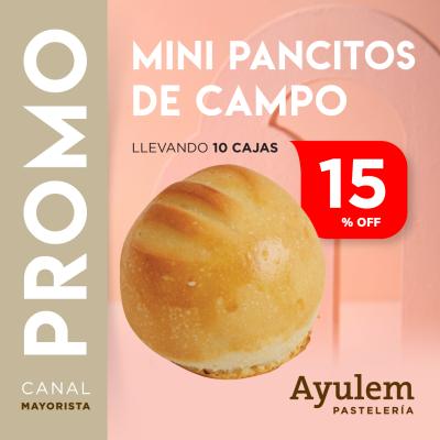 Promo 10 cajas mini pancitos de campo