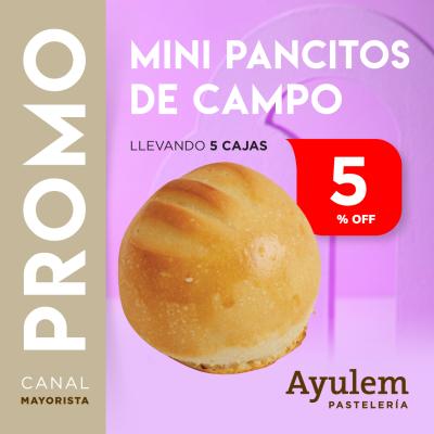 Promo 5 Cajas Mini Pancitos de Campo