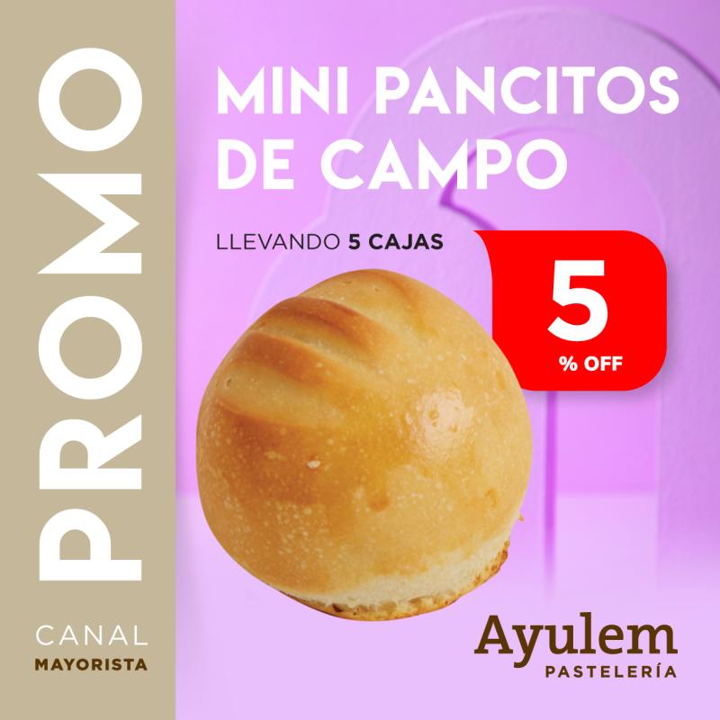 Promo 5 Cajas Mini Pancitos de Campo